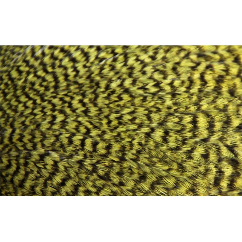 FF Signature Rooster Cape Grizzly Olive