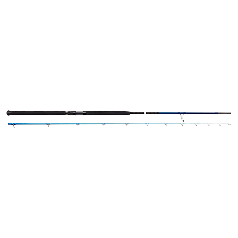 Savage Gear SGS2 Shore Jigging 9'6" 20-80g