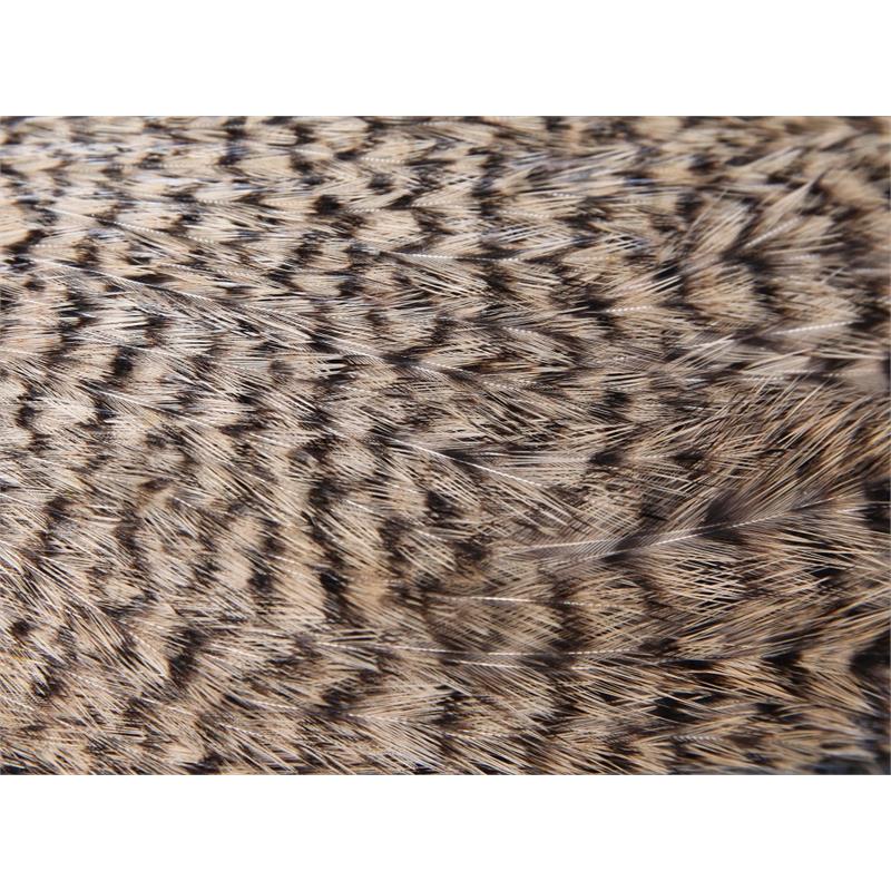 FF Signature Rooster Cape Tan
