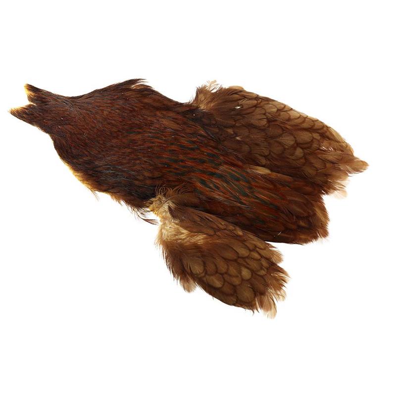 Whiting Hen Cape Brown