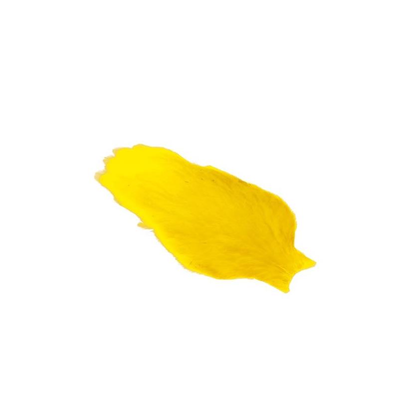 Whiting American Hen Cape Yellow