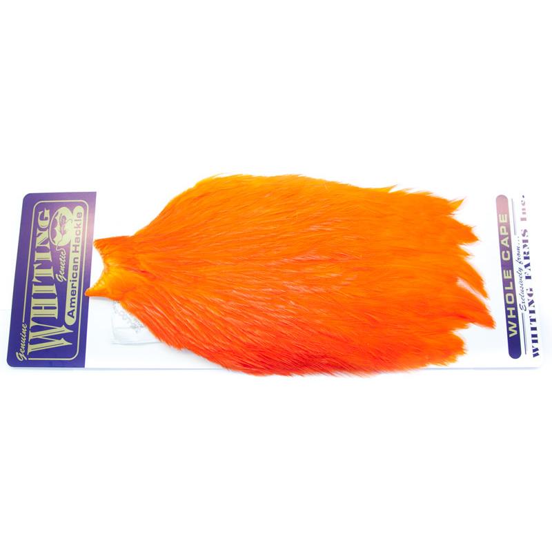 Whiting American Rooster Cape Orange
