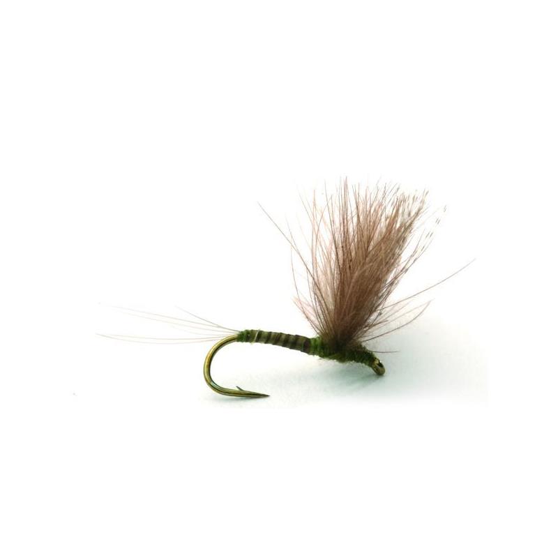 CdC Biot Comparadun Olive #12 Kjøp 12 fluer få gratis flueboks