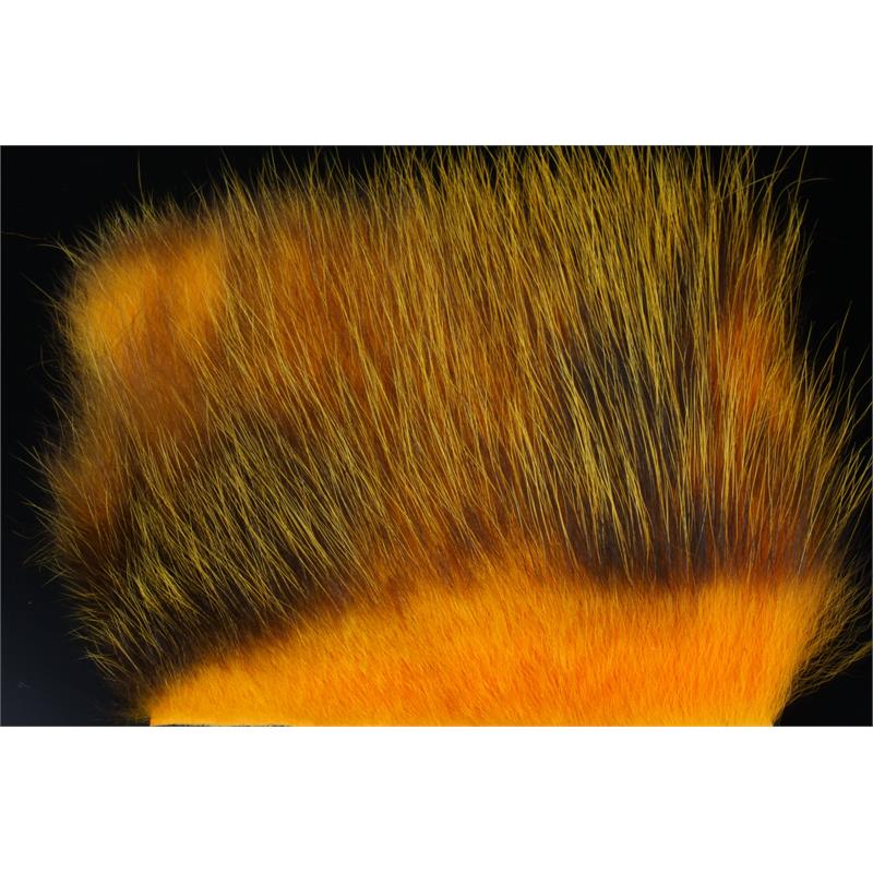 American Opossum Sun Burst FutureFly