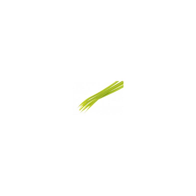 Turkey Biots Caddis Green Wapsi