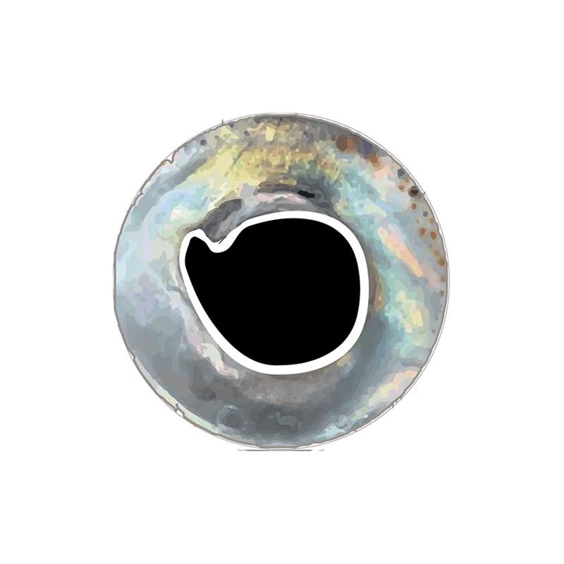 Pro Flexi Eyes Squid 4 mm 64 stk