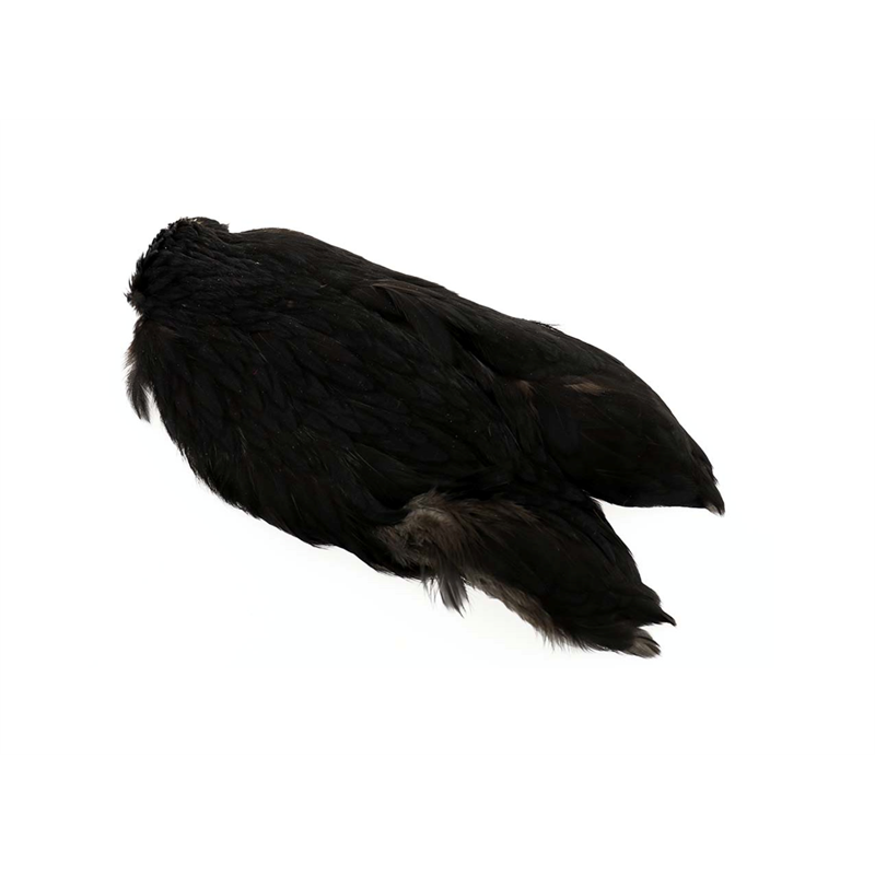 Whiting 4B Hen Cape Black