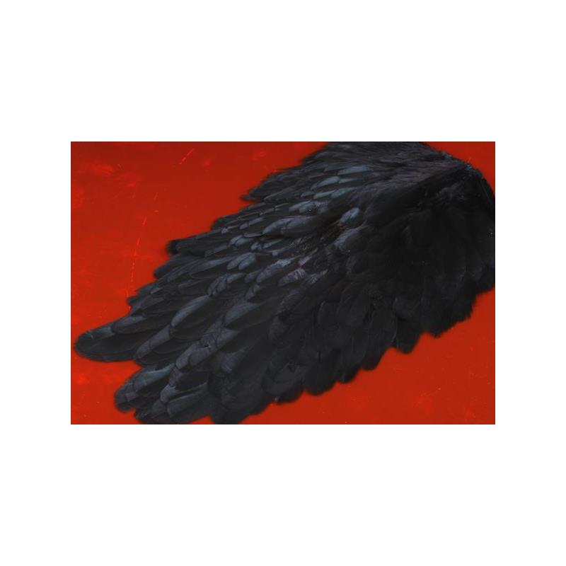 American Hen Saddle - Black FutureFly