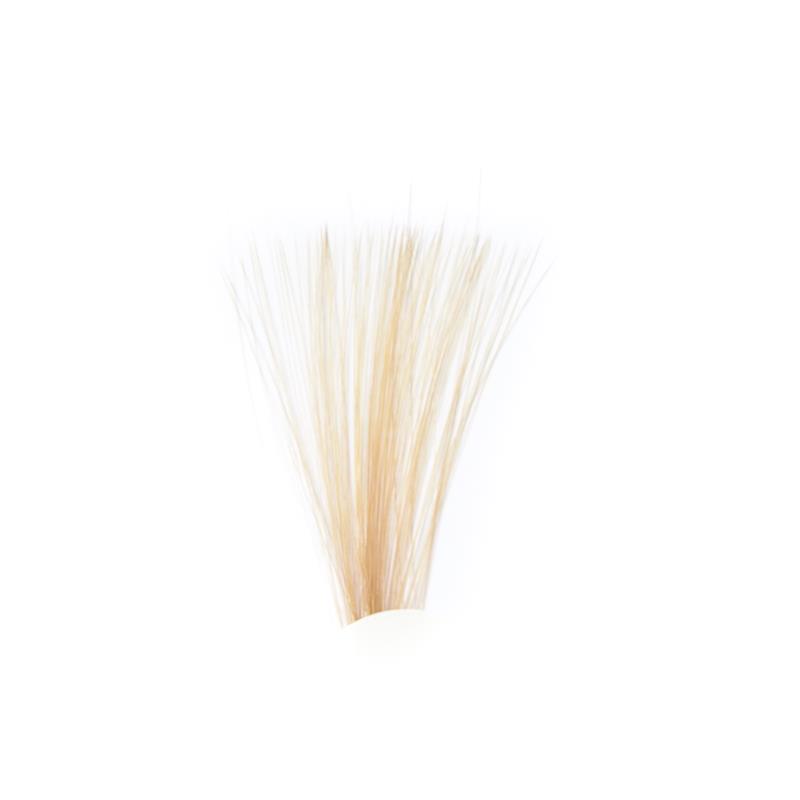 Tail Fibres - Tan Veniard