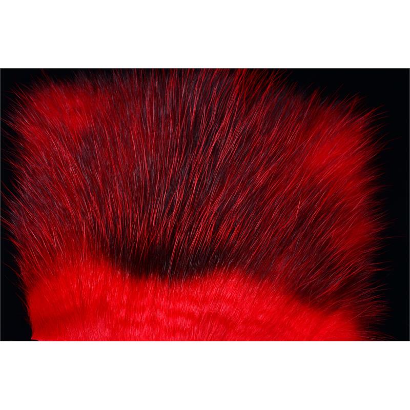 American Opossum Red FutureFly