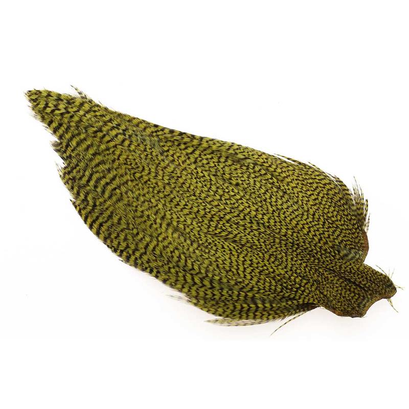 Ewing #1 Grizzly Cape Olive
