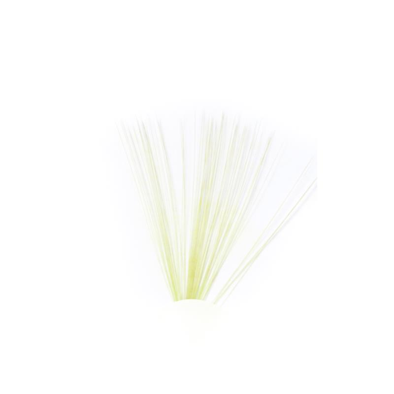 Tail Fibres - Golden Olive Veniard