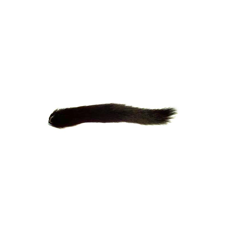 Squirrel Tail - Black Veniard