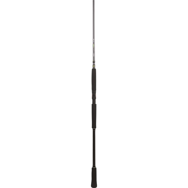 BFT Raptor G2 Pike Spin 8'