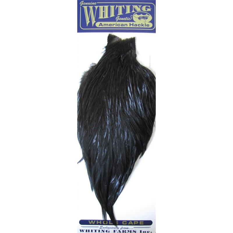 Whiting American Rooster Cape Black