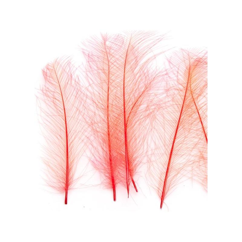 Marc Petitjean CDC 1g - Fluo Red