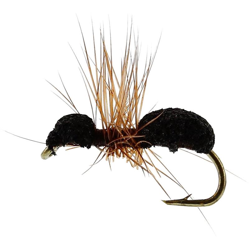 Foam Ant Brown #16 TMC100