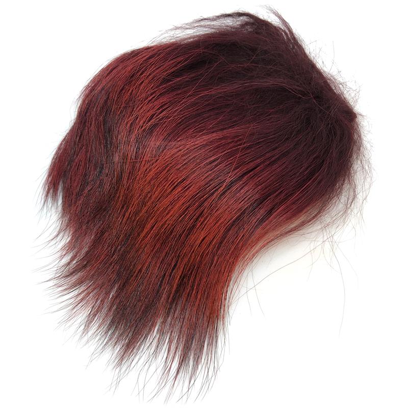 Tempelhund Fiery Brown Assorterte M Stor fargevariasjon