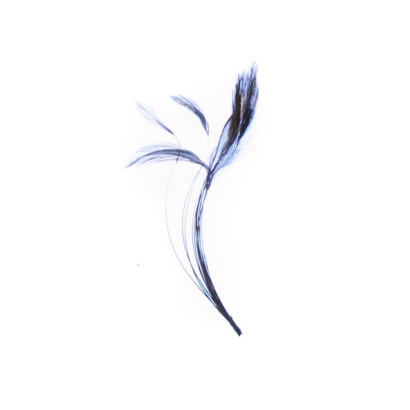 Stripped Hackle Quills - Blue Dun Veniard