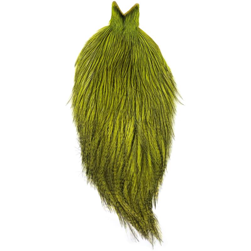 Whiting Coq De Leon Rooster Cape Badger/Fluo Yellow Chartreuse