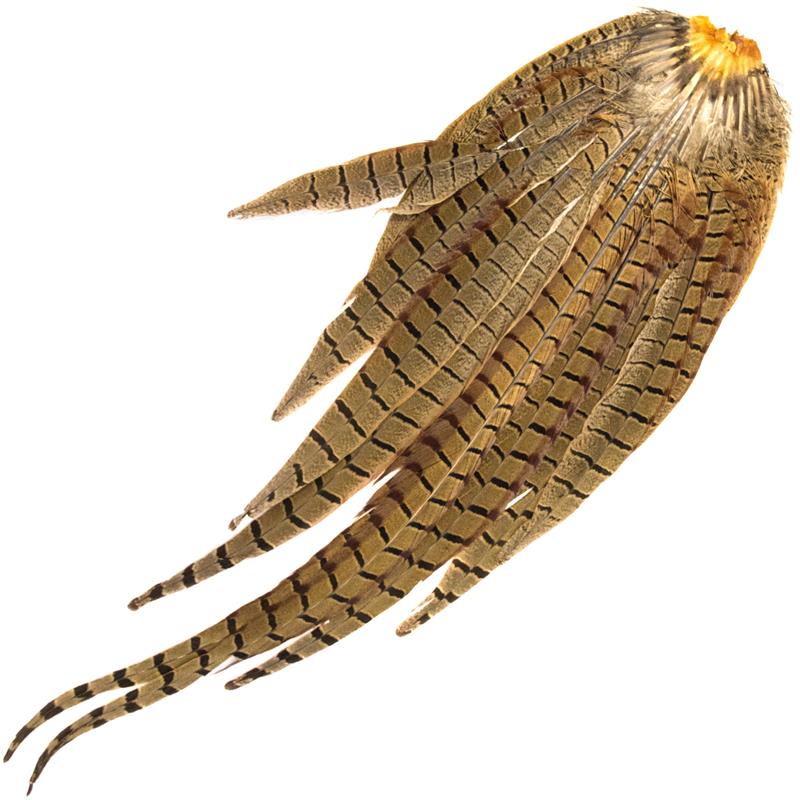 Cock Pheasant Complete Tails Natural Fasan halefjær komplett fra Veniard