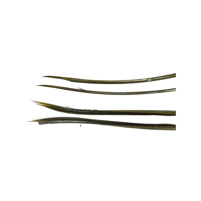 Turkey Biots - Blue Wing Olive Wapsi
