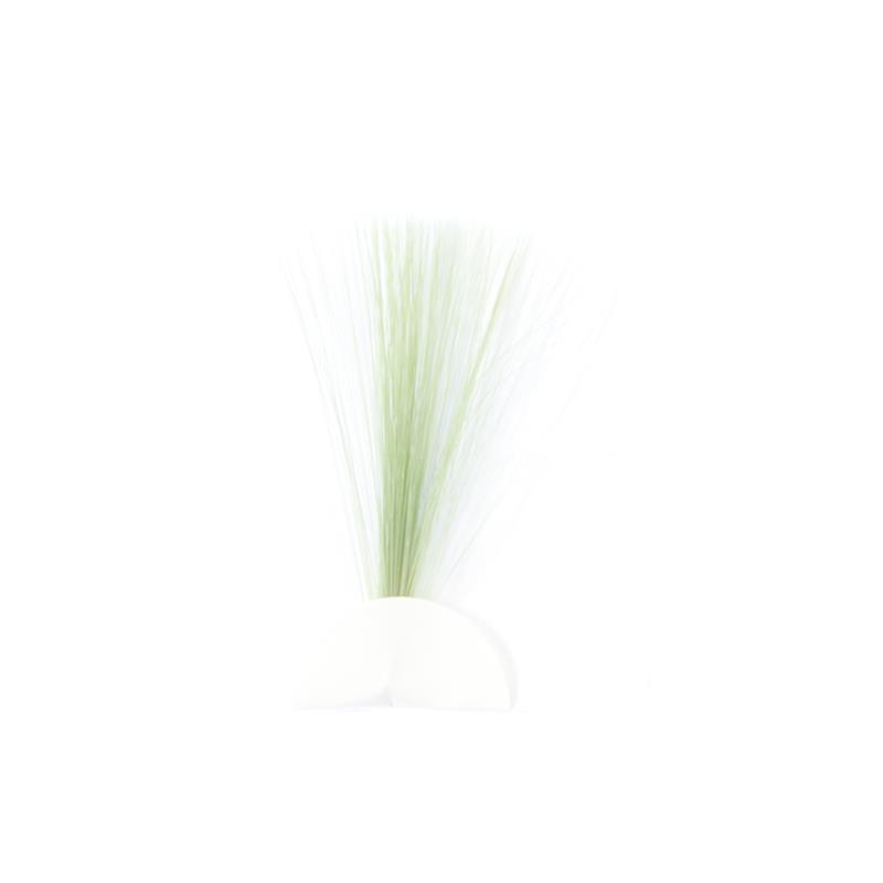 Tail Fibres - Olive Veniard