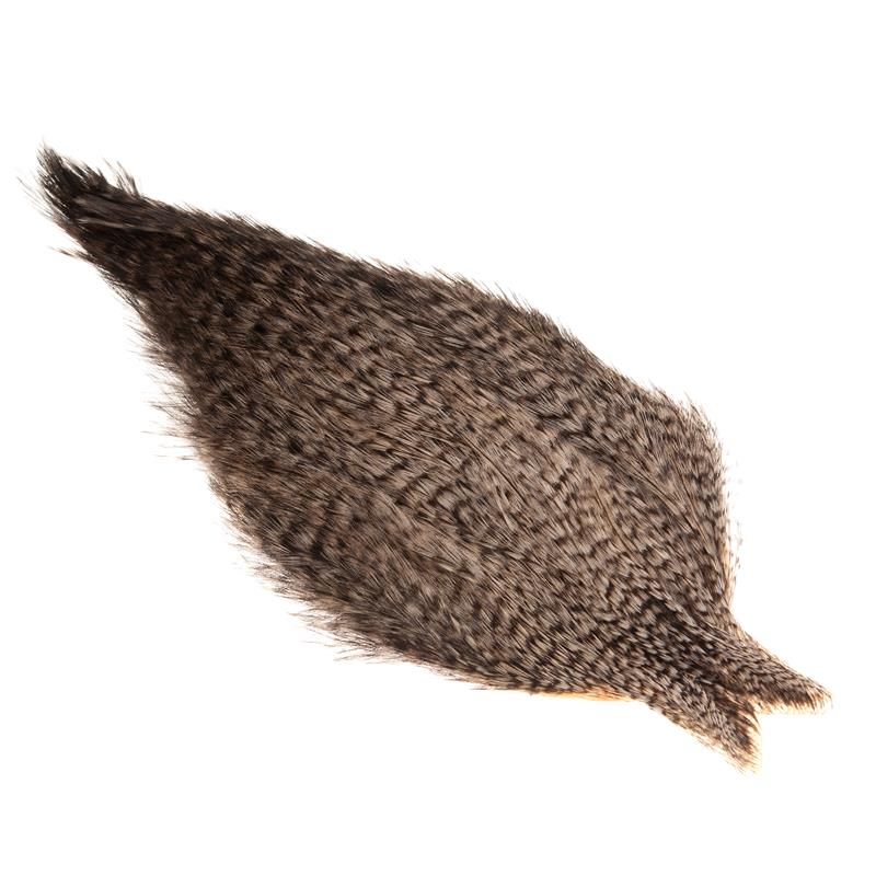 Whiting Coq De Leon Rooster Cape Grizzly